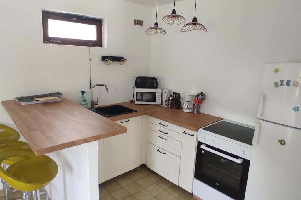 Appartement Au Fond Du Jardin Saint Jean du Pin Екстериор снимка